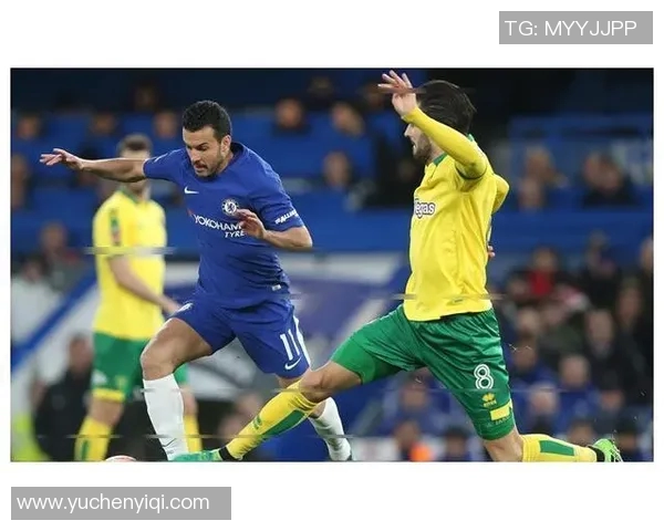 切尔西对阵诺维奇的精彩赛果分析与比赛亮点回顾